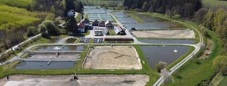Luftaufnahme des Teichwirtschaftlichen Beispielbetriebs Wöllershof mit mehreren Teichen und den Betriebsgebäuden