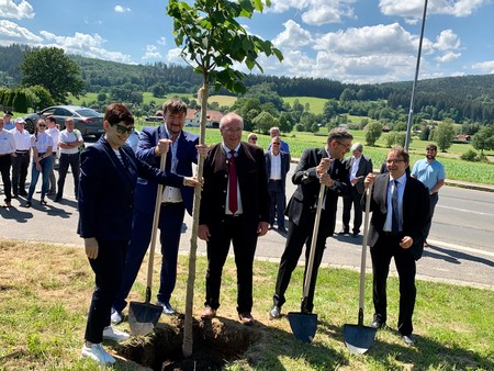 Politiker pflanzen einen Baum.