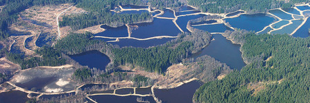 Luftaufnahme der Teichenlandschaft bei Tirschenreuth in der nördlichen Oberpfalz