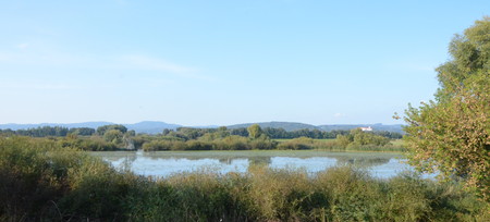 Blick über die Donau nach Wörth