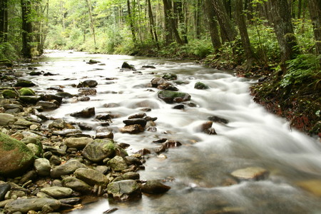 Ein Flussbett mit vielen Steinen