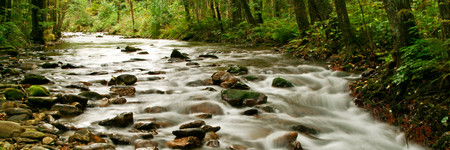 Ein steinbesetzter Flussabschnitt des Weißen Regen im Landkreis Cham 