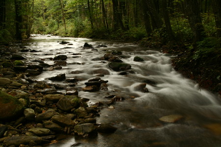 Das steinige Flussbett des Flusses Regens